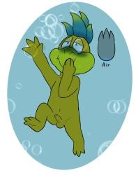 asphyxiation drowning erection foreskin genitals hammer_bro hi_res koopa male mario_bros nintendo nude partially_retracted_foreskin penis scalie shell-less tribaldragon
