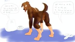 absurd_res anthro anus ass breath brown_body brown_fur canid canine feral fur growth halentfs hi_res looking_at_viewer looking_back male mammal panting paws solo tail transformation worried