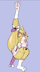 anthro anus bandai_namco belly_blush blush body_blush breast_blush breasts canid canine crouching digimon digimon_(species) female flushed_face fox genitals hand_holding_leg linebore presenting presenting_anus pussy pussy_blush raised_leg renamon solo vulva vulva_blush