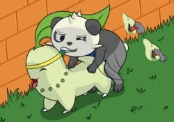 chikorita female feral feral_on_feral gau_(artist) hi_res male nintendo original_character pancham penetration penis pokémon_(species) pokemon pokemon_mystery_dungeon pokemon_xy sex straight vaginal_penetration video_games