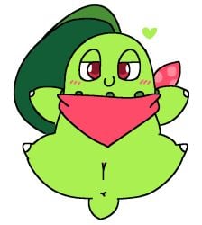 2025 anus blush chikorita digital_drawing_(artwork) digital_media_(artwork) elemental_creature female feral flora_fauna generation_2_pokemon genitals green_body half-closed_eyes heart_symbol leaf leaf_hair lying narrowed_eyes nintendo on_back plant plant_hair pokemon pokemon_(species) pokemon_mystery_dungeon pseudo_hair red_eyes scarf seductive slem solo spike_chunsoft vulva x_anus