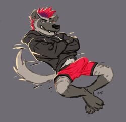 1boy absurd_res anthro bottomwear boxers_(clothing) bulge clothing erection erection_under_clothes erection_under_clothing fur grey_fur hi_res hoodie hyaenid leydon looking_at_viewer male male_only mammal mohawk orf presenting shorts solo striped_hyena tenting topwear underwear