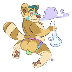 2019 anthro ass backsack balls bong clothed clothing drugs hi_res jockstrap kneeling loneliestbara looking_back male male_only mammal procyonid raccoon simple_background smoke solo topless underwear white_background