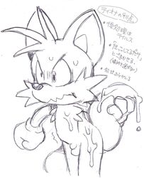 anthro balls cum cum_on_body erosuke furry holding_tail male male_only penis sonic_(series) sonic_team tails translation_request