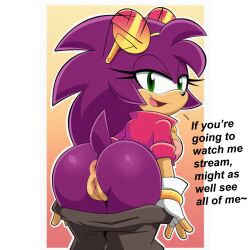 ai_art ai_generated anus ass flashing_ass flashing_at_viewer flashing_pussy mobian_(species) mooning naked naked_female nude nude_female oc presenting_anus presenting_ass presenting_pussy pussy sonic_oc youtuber youtuber_girl youtuber_sona