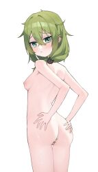 anal anal_object_insertion artist_request back bar_censor breasts butt_plug censored chinese_commentary closed_mouth commentary_request commission completely_nude female green_eyes green_hair highres honkai_(series) honkai_gakuen long_hair medium_breasts messy_hair nipples nude object_insertion pussy second-party_source sex_toy sideboob simple_background solo white_background yssring_leavtruth