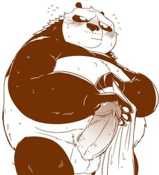 2019 anthro balls belly blush bodily_fluids dreamworks erection giant_panda humanoid_hands humanoid_penis kung_fu_panda male male_only mammal moku_nameko overweight overweight_male penis po simple_background solo sweat towel ursid white_background