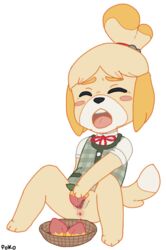 2016 abject animal_crossing anthro anus blush canid canine canis closed_eyes domestic_dog female food fruit improvised_sex_toy isabelle_(animal_crossing) mammal masturbation nintendo open_mouth peach_(fruit) plant pussy shih_tzu solo toy_dog video_games