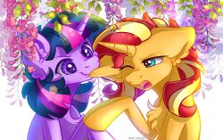 Twilight Sparkle (Mlp) Rule 34 Image