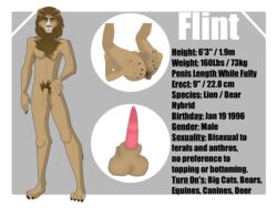 absurd_res anatomically_correct anatomically_correct_anus animal_genitalia animal_penis anthro anus ass balls bodily_fluids close-up cum erection felid feline_penis flint flintblion genital_fluids hi_res hybrid lion male mammal model_sheet pantherine penis precum presenting sheath solo text ursid