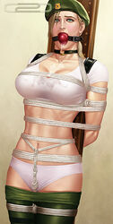 sonya blade from mortal kombat by captive 2d