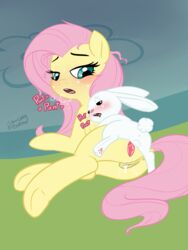 after_sex angel_(mlp) anus ass balls blush bodily_fluids cum cum_in_pussy cum_inside cutie_mark duo english_text equid equine female feral feral_on_feral fluttershy_(mlp) friendship_is_magic genital_fluids hi_res interspecies lagomorph larger_female leporid male mammal my_little_pony open_mouth penis pterippus pussy rabbit saliva size_difference smaller_male soulcentinel straight sweat text wings x_anus