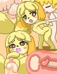 1girls animal_crossing animated anthro anthro_penetrated balls blonde_hair blush bodily_fluids breasts brown_eyes canid canine canis clitoris cross_section cum cum_in_pussy cum_in_uterus cum_inside digital_media_(artwork) domestic_dog female from_behind fur genital_fluids gif hair human human_on_anthro human_penetrating human_penetrating_anthro impregnation internal interspecies isabelle_(animal_crossing) legs_together male mammal multiple_angles nintendo nipples open_mouth orgasm penetration penis pixel_art pussy sex small_breasts spread_legs straight throbbing uramomo uterus vaginal_penetration video_games villager_(animal_crossing) x-ray yellow_fur