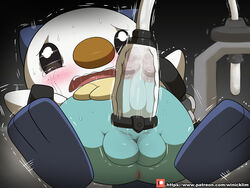 oshawott from nintendo by winick-lim