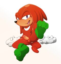 anthro anus ass balls clothing echidna erection gloves half-closed_eyes handwear hi_res humanoid_penis inkbunny knuckles_the_echidna legwear looking_at_viewer magzol male male_only mammal monotreme navel open_mouth penis purple_eyes socks solo sonic_(series) transparent_background