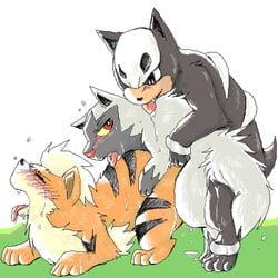 canine cum dogpile growlithe houndour male/ambiguous nintendo pokemon pokemon_(species) poochyena sweaty threesome