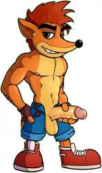 2019 anthro balls bandicoot clothing crash_(series) crash_bandicoot furry hi_res humanoid_penis male male_only mammal marsupial naughty_dog penis shorts simple_background solo sony_corporation sony_interactive_entertainment unzipped video_games walrusmastah white_background