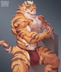 abs absurd_res anthro balls biceps bulge clothing felid fur genitals hi_res lin_hu male male_only mammal muscular muscular_anthro muscular_male nekojishi nipples pantherine pecs physen solo studio_klondike tiger underwear