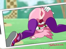 amy_rose amy_rose_(boom) big_ass furry pussy pussy_lips sonic_(series) sonic_boom thigh-highs