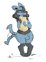 animal_genitalia anthro balls fully_sheathed generation_4_pokemon genitals hi_res lucario male nintendo pawfunk_(artist) pokemon pokemon_(species) sheath simple_background solo tail tail_motion tailwag white_background