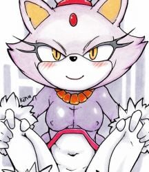 blaze_the_cat horny_female kinu_(artist) seductive