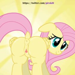 1:1 1girls 2019 anatomically_correct anatomically_correct_pussy animal_genitalia animal_pussy animated anus ass blue_eyes clitoral_winking clitoris equine equine_pussy female feral fluttershy_(mlp) forbidden-pirskitt friendship_is_magic hair mammal my_little_pony pink_fur pink_hair pterippus pussy raised_tail rear_view simple_background smile solo tail text twitter_username url watermark wings yellow_fur