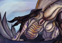 2019 4_toes absurd_res alternate_version_at_source anisodactyl anus ass ass_up belly_scales big_anus big_claws black_claws capcom claws dewclaw digitigrade dragon feet female feral flying_wyvern hi_res legiana low-angle_view monster_hunter multicolored_scales presenting presenting_anus presenting_hindquarters pur3 pussy scales scalie solo thick_tail toes video_games wings wyvern