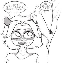 1:1 anthro balls black_and_white blizzard_entertainment blush clothing dialogue ear_penetration female hair hi_res human human_on_anthro interspecies invalid_tag korean_text li_li_stormstout male mammal monochrome open_mouth pandaren penis pubes shirt speech_bubble straight text topwear translation_request ursid video_games warcraft weishaupt