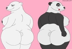 anthro ass big_breasts breasts charizardlover97 female giant_panda hi_res huge_breasts looking_at_viewer mammal nipples nude overweight overweight_female polar_bear seductive simple_background slightly_chubby standing thick_thighs ursid ursine voluptuous