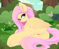 Bush (Disambiguation) Rule 34 Image