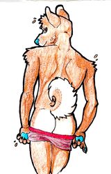 anthro ass blue_pawpads butt_pose canid canine canis clothed clothing domestic_dog fisis hi_res laney looking_at_viewer looking_back male male_only mammal pants_down partially_clothed pawpads portrait presenting presenting_hindquarters raised_tail rear_view simple_background solo three-quarter_portrait topless underwear underwear_down underwear_pull undressing white_background