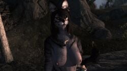 anthro bethesda_game_studios breasts dagi-raht domestic_cat felid feline felis female fremibr game_screenshot hi_res khajiit mammal microsoft mod nude outside sa'chil skyrim solo the_elder_scrolls