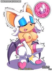 1girls anthro areolae bat bat_wings big_breasts boots breasts closed_eyes english_text female female_only fingering furry furry_only gloves internal mammal masturbation membranous_wings nipples pussy rouge_the_bat sega skajrzombie solo sonic_(series) text url vaginal_masturbation video_games white_fur white_hair wings