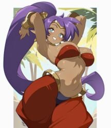 shantae (character) from shantae by vizaz