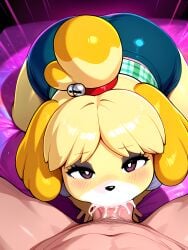isabelle (animal crossing) from animal crossing