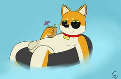 balls beverage canid canine character_request collar eyewear flaccid hi_res looking_at_viewer male male_only mammal penis sketchyyvun sunglasses swim_ring swimming_pool