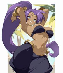 shantae (character) from shantae by vizaz