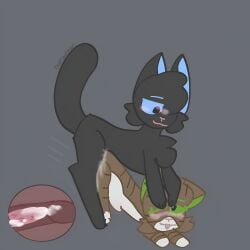 barbed_penis crowfeather_(warriors) cum_in_pussy cum_inside cumming_in_pussy dick feral feral_on_feral high_quality high_resolution leafpool_(warriors) pussy pussy_juice thatfanofwc_(artist) warriors_(cats)