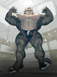 2024 5_toes abs absurd_res anthro arena blue_clothing blue_thong blue_underwear canid canine canis chest_gem clothed clothing countershade_torso countershading feet fighting_ring flexing flexing_bicep flexing_both_biceps fur gem grey_body grey_fur hi_res inside looking_at_viewer looking_down looking_down_at_viewer low-angle_view male mammal muscular muscular_anthro muscular_male muscular_thighs nipples pecs re_baiz smile soles solo striped_body striped_fur stripes thong thong_only toes topless triceps underwear underwear_only watermark white_body white_fur wolf