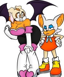 cream_the_rabbit digital_art head_swap headswap mattmiles rouge_the_bat sonic_(series) sonic_the_hedgehog_(series) what