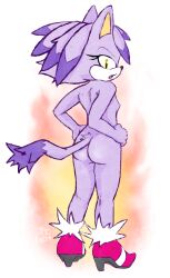 blaze the cat from sega by jenokamui