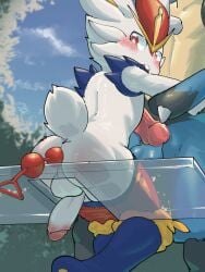 albert19990202 anal anal_beads anal_beads_in_ass anal_sex animal_genitalia animal_penis anthro anthro_penetrated ass balls bench big_penis blue_body blue_fur blush bottomwear bottomwear_down buckteeth canid canine_genitalia canine_penis cinderace clothed clothing fluffy fluffy_tail fur generation_4_pokemon generation_8_pokemon genitals glass_bench hand_spike hi_res humanoid_genitalia humanoid_penis knot lagomorph low-angle_view lucario male male_penetrated mammal nintendo object_in_ass on_bench pants pants_down partially_clothed penetration penis pokemon pokemon_(species) rear_view sex_toy sex_toy_in_ass sex_toy_insertion sitting sitting_on_bench solo spikes spikes_(anatomy) tail teeth white_body white_fur