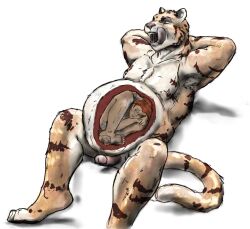 2022 anthro anthro_pred anthro_prey balls belly big_belly closed_eyes colored domestic_cat duo erection feet felid feline felis forced frown fur genitals hair hands_behind_head humanoid_genitalia humanoid_penis inside_stomach internal jeri_kleinlowe larger_pred licking licking_lips male male/male mammal musclegut muscular muscular_male nude nude_prey open_mouth orange_body orange_fur orange_hair pantherine penis pink_penis satisfied sharp_teeth simple_background sitting size_difference smile striped_body striped_fur stripes tail tan_body tan_fur teeth tiger tongue tongue_out unwilling_prey vore vore_day vore_day_2022 white_background white_body white_fur willing_pred