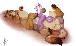 agropuer animal_genitalia anthro balls belly breasts brown_body brown_fur canid canid_taur canine canine_taur canis claws closed_eyes coyote coyote_taur duo female fully_sheathed fur genitals iarann lying male male/female mammal mammal_taur nude nude_anthro nude_female nude_male nude_taur on_back open_mouth orange_body orange_fur pawpads paws purple_body purple_fur sheath simple_background tan_body tan_fur taur toe_claws tongue tongue_out white_background wolf