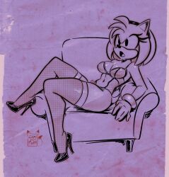 amy rose from sonic (series) by dimidotfurr