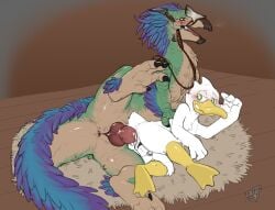 absurd_res anal anal_sex anatid animal_genitalia anseriform anus ass avian balls beak benji_(artist) bird bird_wyvern blush bodily_fluids capcom chastity_cage chastity_device cum cum_inside drake_(an_dork) duck duo erection feet feral genital_fluids genital_slit genitals hay hi_res knot lying male male/male male_penetrated male_penetrating membrane_(anatomy) monster_hunter nude on_side penetration penile penis precum reptile scalie seikret sex size_difference toes webbed_feet zoophilia