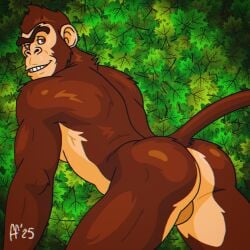 2025 anthro ass backsack balls brown_body brown_eyes brown_fur digital_drawing_(artwork) digital_media_(artwork) eyebrows fabfelipe fur genitals haplorhine hi_res looking_back male mammal monkey nude_anthro nude_male pinup pose primate solo tail teeth unibrow