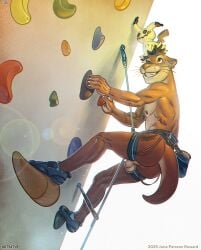 abs anthro ass athletic athletic_anthro athletic_male balls brown_body brown_fur claws climbing climbing_harness climbing_rope climbing_wall clothing ear_piercing footwear footwear_only fur generation_7_pokemon genitals hotsatyr humanoid_genitalia male mammal mimikyu mostly_nude muscular muscular_anthro muscular_male mustelid nintendo nipples nude otter otter_tail pecs piercing pokemon pokemon_(species) shoes shoes_only slim slim_anthro slim_male small_balls smile smiley_face solo tail tight_balls