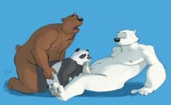 2025 adopted_(lore) adoptive_brother_(lore) adoptive_brothers_(lore) adoptive_sibling_(lore) all_fours anal anal_sex anthro anthro_on_anthro anthro_penetrated anthro_penetrating anthro_penetrating_anthro areola bear belly blue_background brown_bear cartoon_network claws closed_eyes dot_eyes erection eyebrows fellatio fufer fur genitals giant_panda glans grizzly_(we_bare_bears) grizzly_bear group group_sex hi_res humanoid_genitalia humanoid_penis ice_bear_(we_bare_bears) kneeling looking_pleasured male male/male male_penetrated male_penetrating male_penetrating_male mammal moobs navel nipples nude open_mouth oral oral_penetration overweight overweight_anthro overweight_male panda_(we_bare_bears) pawpads penetration penile penile_penetration penis penis_in_ass penis_in_mouth polar_bear pseudo_incest_(lore) sex shadow signature simple_background simple_eyes sitting spitroast teeth threesome trio tuft two_doms_one_sub ursine we_bare_bears