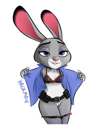 judy hopps from disney by hackman